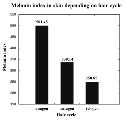 모발 성장 주기에 따른 멜라닌 지수 변화 그래프