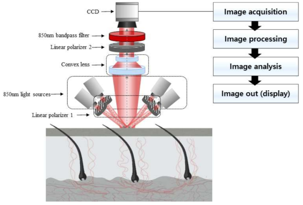 멜라닌 분포 분석 영상 시스템 구성도
