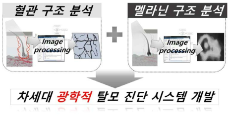 본 연구에서 제안하는 광학적 탈모 진단 시스템