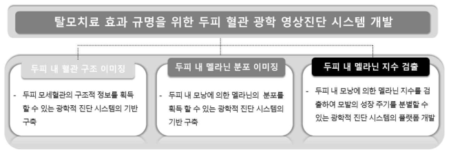 본 연구의 개발 범위의 모식도