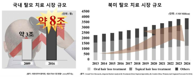 국내 탈모 치료 시장 규모(좌)와 북미 탈모 치료 시장 규모(우)