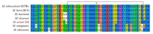 다양한 Mycobacterium sp.의 QcrB 아미노산 alignment. (*표Q203의 타겟 아미노산 T313)