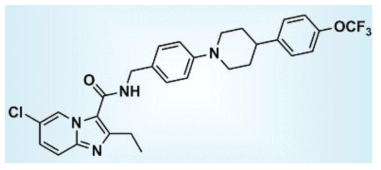 FDA 임상 1상 마무리 단계에 와 있는 Q203