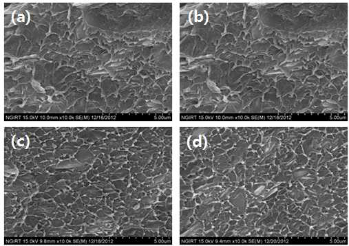 FE-SEM image of nanocomposite with the concentration of Kaolin