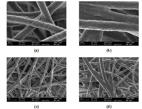 FE-SEM images of nickel coated PAN fiber with different irradiation doses