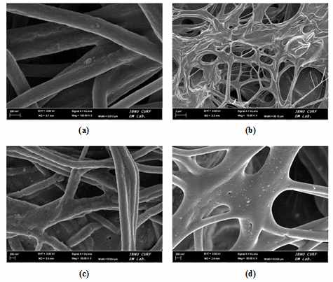 FE-SEM images of nickel coated PAN fiber with different irradiation doses