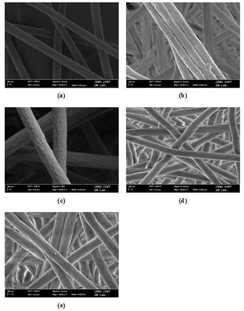 FE-SEM images of irradiated PAN fiber with different doses