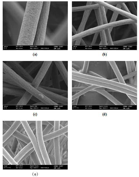 FE-SEM images of heat stabilized PAN fiber with different irradiation doses