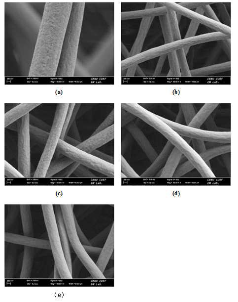 FE-SEM images of nickel coated PAN fiber with different irradiation doses