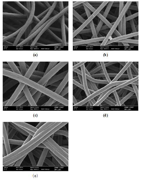 FE-SEM images of carbonized PAN fiber with different irradiation doses