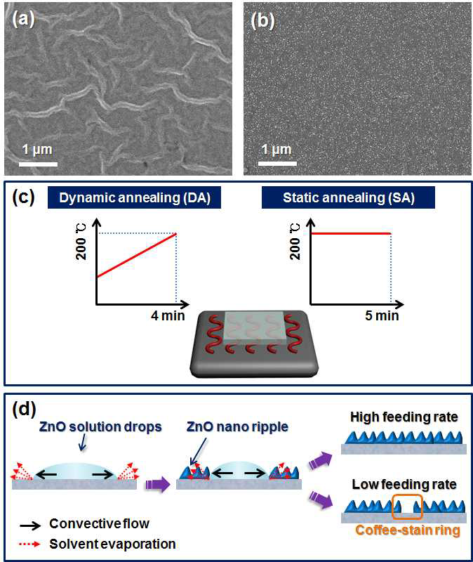 SEM images of ZnO film with nano-ripple (a), ZnO w/o nano-ripple (b), Annealing condition of ZnO (c), Schematic image of preapartion of nano-ripple