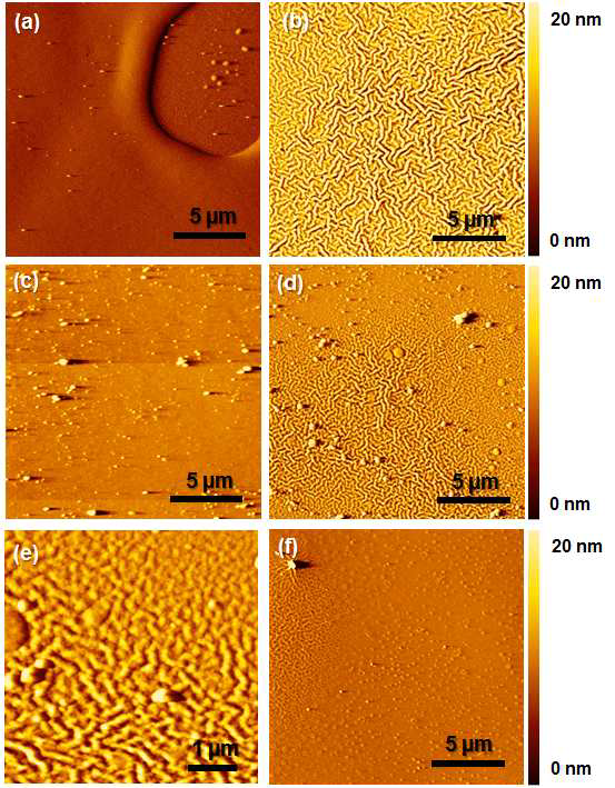 AFM images of ZnO with different conditions