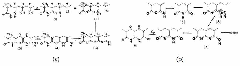 Colean (a), Grassie (b) mechanism of stabilization of PAN