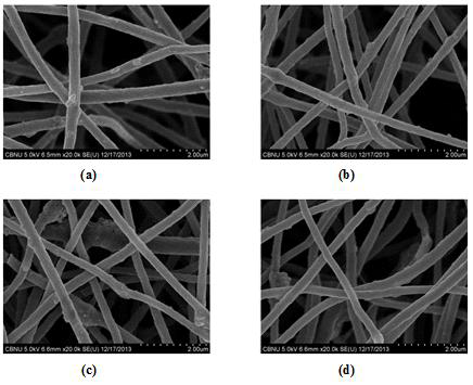 FE-SEM images of PAN fiber containing nickel nanoparticles with different radiation doses