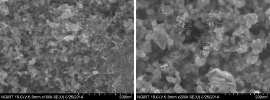 FE-SEM images of the synthesized nickel nanoparticles with 0.42 ml of 1N NaOH solution.
