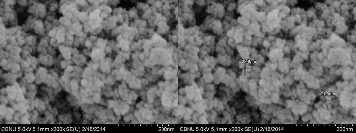 FE-SEM iamages of FeCl3 0.1 g /DI water 10 ml /NaOH 1N, 1.8 ml/EB 200 kGy without IPA