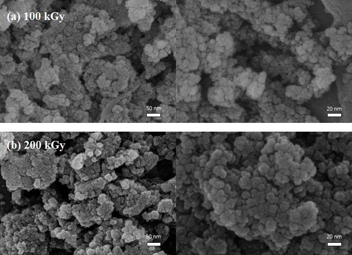 FE-SEM images of the synthesized iron oxide nanoparticles with 1.2 ml of 1N NaOH solution.