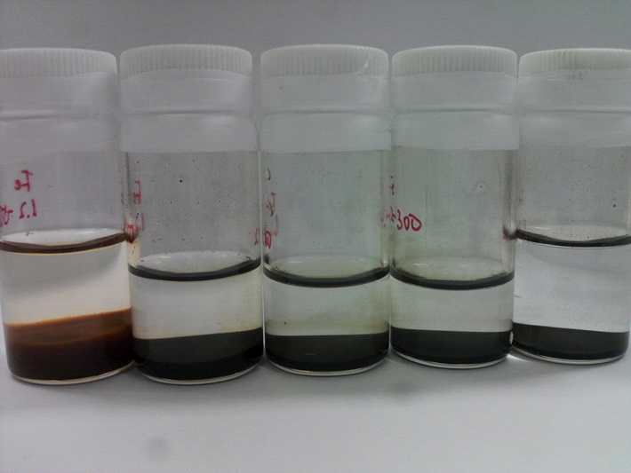 Images of synthesized iron oxide nanoparticles with different electron beam absorbed doses.