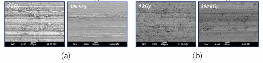 SEM images of nylon 6 without (a) and with (b) TMPTMA as a curing agent.