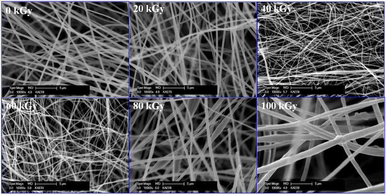 SEM images of the PAN fibers. PAN fibers was fabricated by electro spinning method