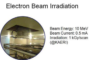 Electron beam irradiation conditions