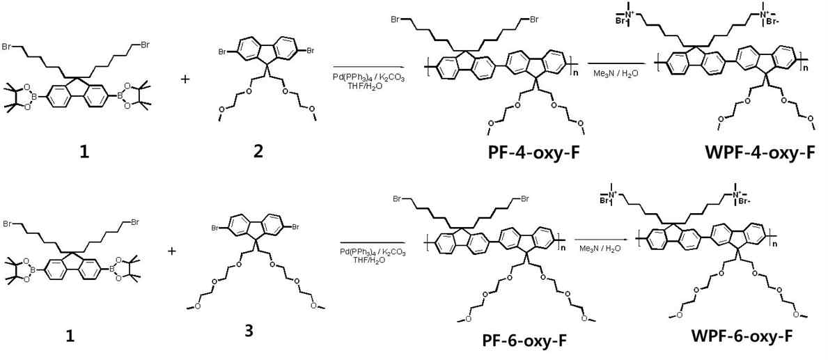 Synthesis scheme of WPF-4-oxy-F and WPF-6-oxy-F.