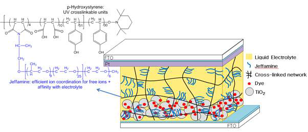 Schematic illustration of the DSSC assembled via an in-situ cross-linking of the gel-polymer electrolyte employing the oligomeric UV-cross-linker proposed in this study.