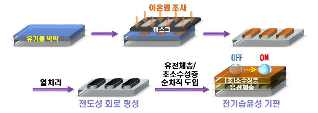 이온빔 기반 전도성 회로를 이용한 전기습윤성 기판 제조 모식도.