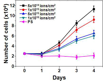 다양한 이온빔 조사량에서 조사된 PAA 에서의 NIH3T3 세포증식.