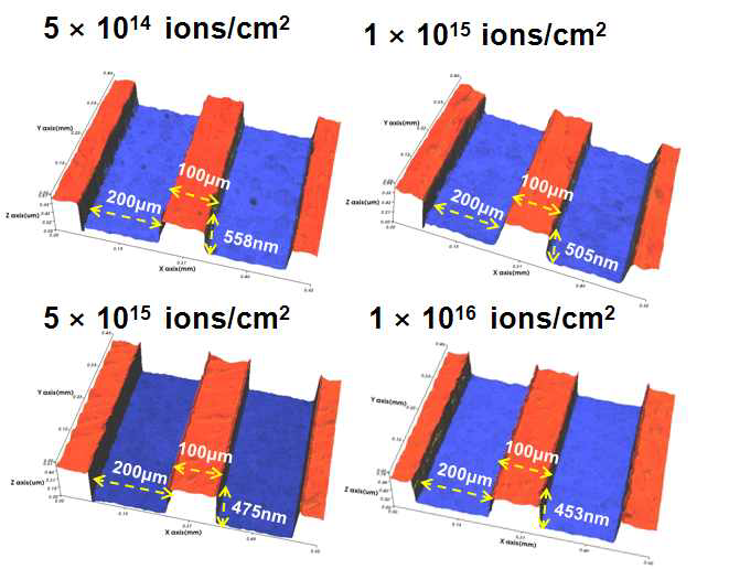 다양한 이온빔 조사량에서 형성된 PNIPAAm 패턴들의 3차원 표면단차 이미지.