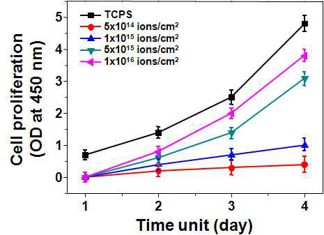 다양한 이온빔 조사량에서 조사된 PNIPAAm에서의 H1299 세포증식.