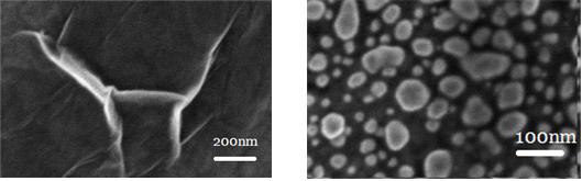 세포칩용 ITO-그래핀-금 기판 이미지; (좌) 그래핀증착, (우) 금-그래핀 증착.