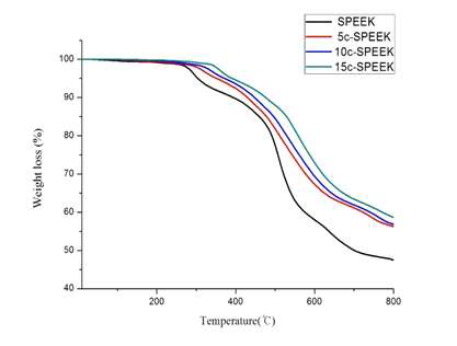 SPEEK와 C-SPEEK(DS 55%)의 TGA 곡선