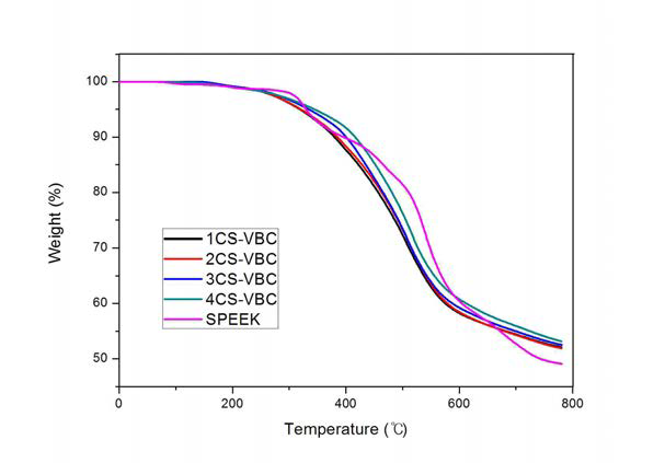 CS-VBC 멤브레인(DS 57%)의 TGA 곡선