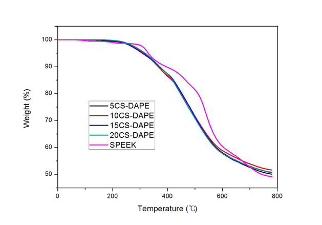 CS-DAPE 멤브레인(DS 60%)의 TGA 곡선