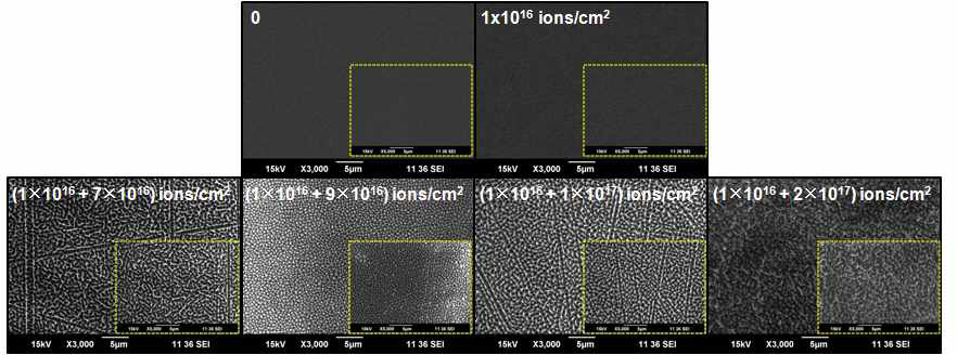 다양한 이온빔 조사량에서 일차 및 재조사된 FEP 필름 표면의 SEM 사진들
