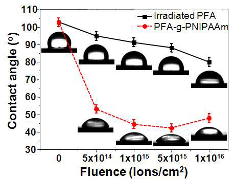 다양한 조건에서 이온빔 조사된(irradiated) PFA 및 PNIPAAm이 그라프트된 (PNIPAAm-grafted) PFA의 접촉각(contact angle).