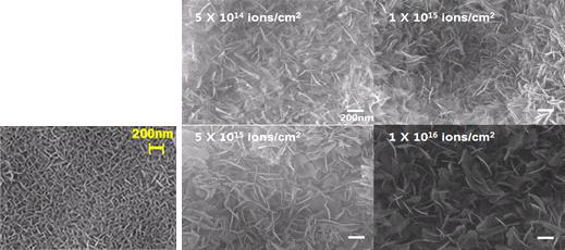 수산화알루미늄과 이온빔 조사 전(왼쪽) 후(오른쪽) 표면 SEM 이미지 (scale bar = 200 nm).