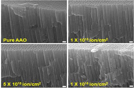 5 μm 두께로 제작된 AAO의 이온빔 조사 후 SEM 이미지 (scale bar= 100nm).