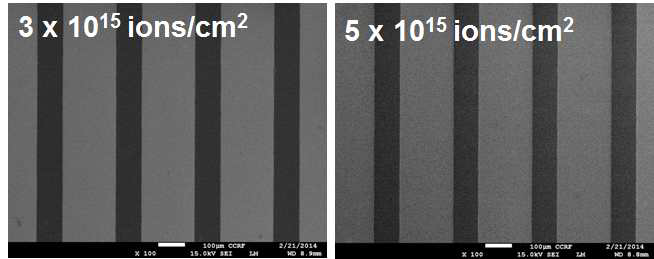 다양한 이온빔 조사량들에서 형성된 PAN 패턴의 SEM 사진.