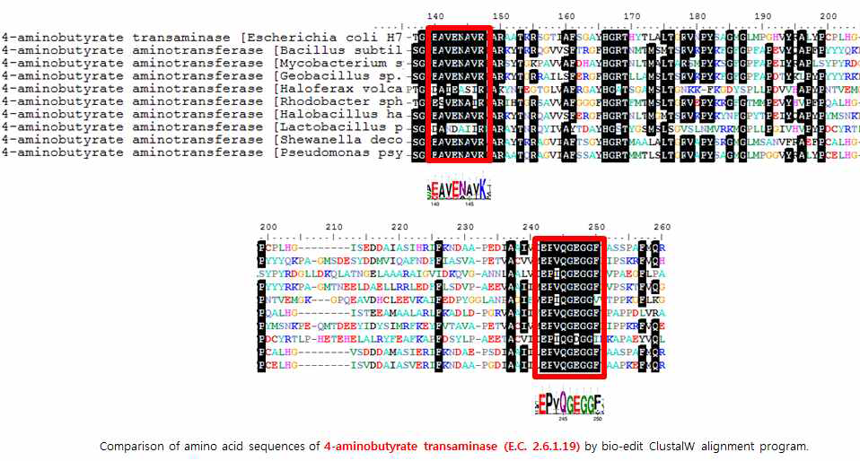 4-aminobutyrate transferases (E.C. 2.6.1.19) 의 아미노산 보존서열 비교