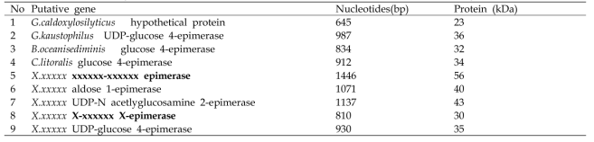 Nonphosphate sugar epimerases로서 가능성 있는 신규당전환효소후보유전자의 full gene.