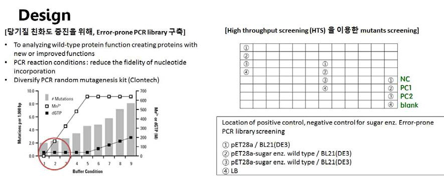 arabinose / fucose isomerase, glucose / fructose 4-epimerase의 개량 실험 방법.