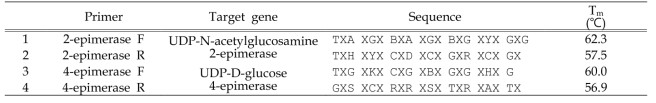 UDP-N-acetyl glucosamine 2-epimerase and UDP-D-glucose 4-epimerase의 아미노산 보존서열을 기반한 신규당전환효소 발굴을 위한 degenerate primers.