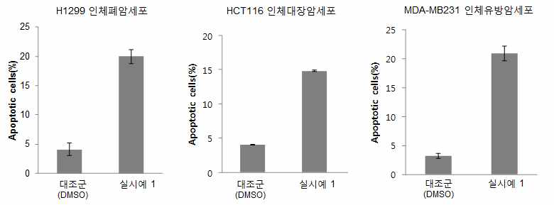 다양한 암세포주에서 AIU2001 세포사멸 효과