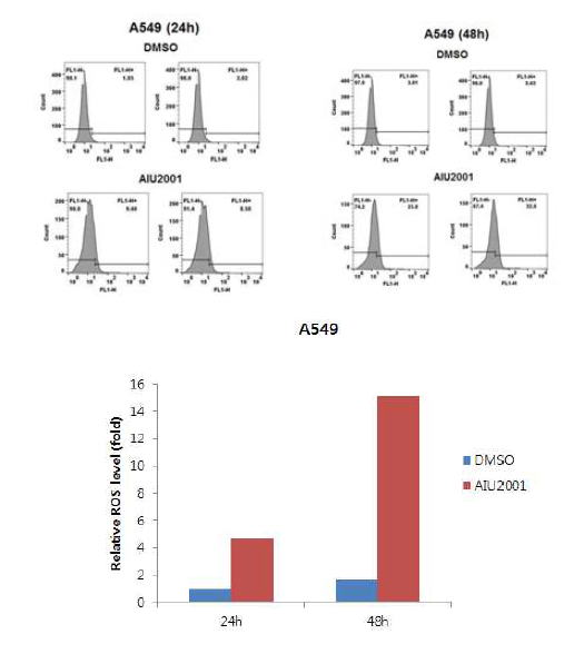 A549세포내 AIU2001의 ROS 생성능