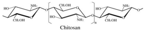 Amine group을 함유하는 키토산의 구조
