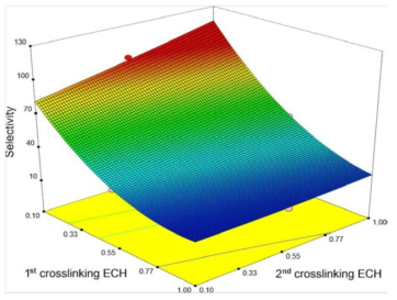 실험계획법에 의한 1st crosslinking ECH와 2nd crosslinking ECH의 3D plot