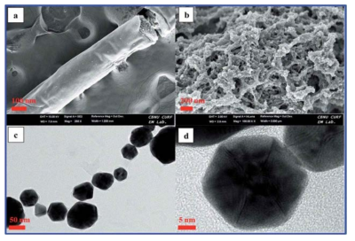 MPCFs의 SEM (a 그리고 b)와 TEM (c 그리고 d)