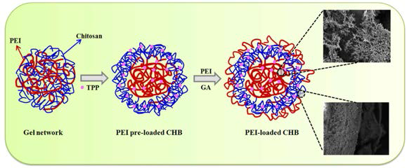 고성능 흡착소재 PEI-loaded CHB의 개발 모식도